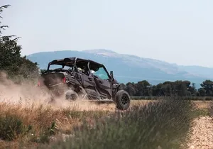 Guided Buggy Tour through Teide National Park