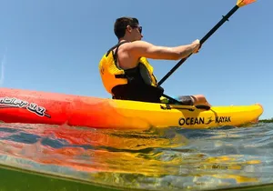 Kayak Tour and Rental