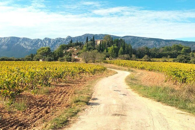 Aix-en-Provence Local Wine Tour : Aperitif, Pétanque & Villages