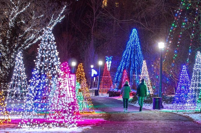Niagara Falls Festival of Lights Tour from Toronto