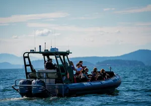 Vancouver's Intimate West Coast Whale Watching Experience