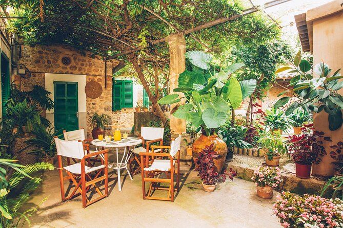Guided Tasting Tour in 16th century House and Olive Oil Factory