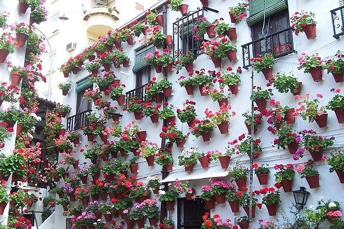 Cordoba city private tour from Seville including the great Mosque