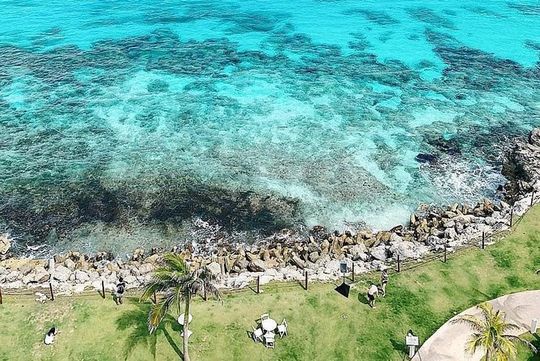 4x1 Magical tour. Tulum, Coba, a cenote & Playa del Carmen. Lunch included.