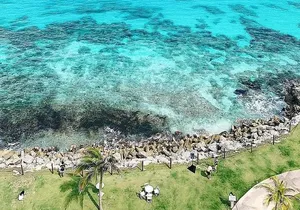 4x1 Magical tour. Tulum, Coba, a cenote & Playa del Carmen. Lunch included.