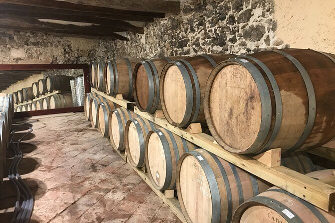 Priorat Wine Tasting Tour from Salou with hotel pickup