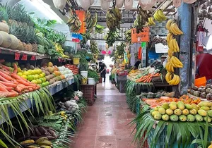 Puerto Morelos Foodie Tour, Mexico in every bite!