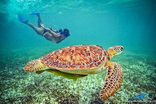 4H Private 38'Catamaran All-Inclusive in Tulum & Playa del Carmen