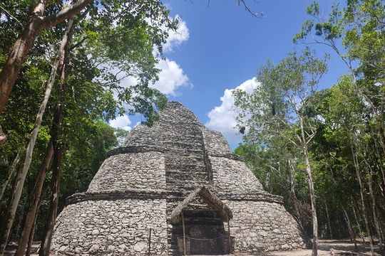 Tulum, Coba, Cenote Kuxtal, & 5th Avenue 5X1 Deluxe from Cancun