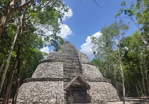 Tulum, Coba, Cenote Kuxtal, & 5th Avenue 5X1 Deluxe from Cancun