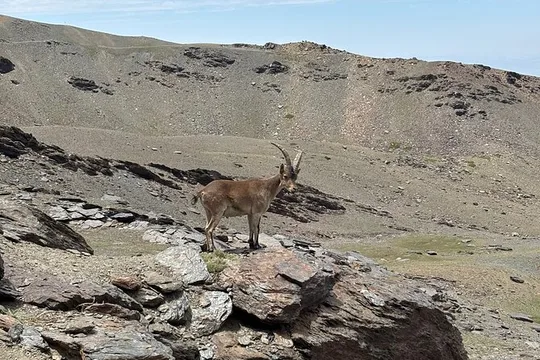 High Sierra Nevada hike above 3000 meters