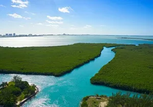 Cancun Jungle Tour with Speedboat and Snorkeling