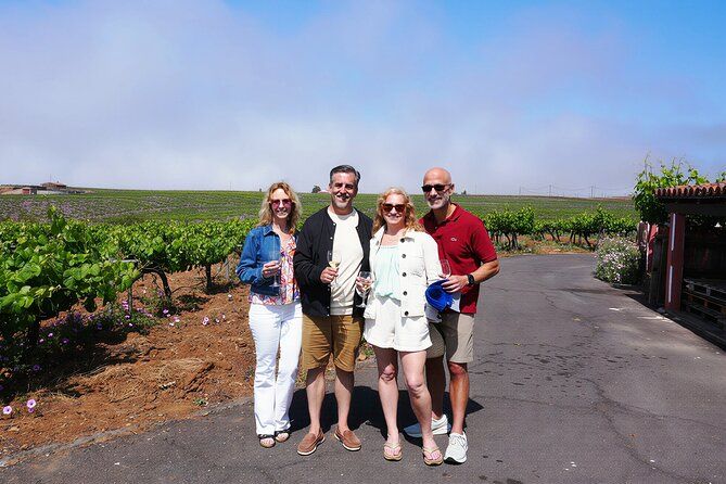 Wine, Canarian Tapas, Culture, VIP Private tour - photos included
