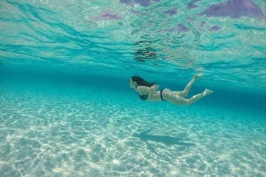 Basic Snorkel Experience at Cancun! Round Transportation Included