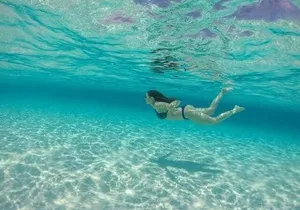 Basic Snorkel Experience at Cancun! Round Transportation Included