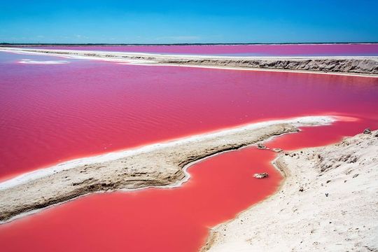 Ek Balam, Rio Lagartos and Las Coloradas Private Tour from Cancun