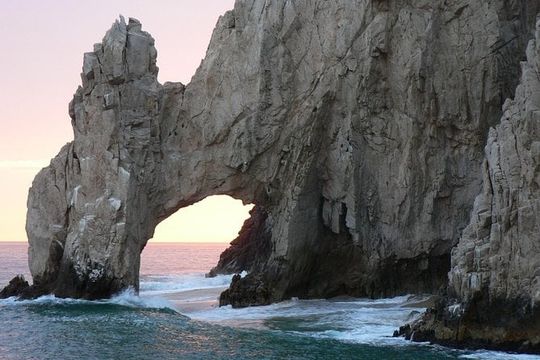 Elite Whale Watching Tour, experiencing Nature!