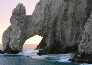 Elite Whale Watching Tour, experiencing Nature!