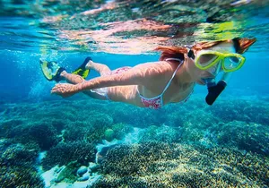 Amazing Snorkel Adventure! Round Transportation From Cancun