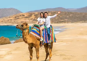 UTV and Camel Ride in the Cabo Desert