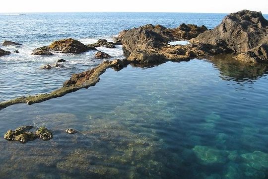 Volcano Teide National Park And North Of The Island VIP TOUR