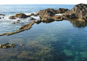Volcano Teide National Park And North Of The Island VIP TOUR