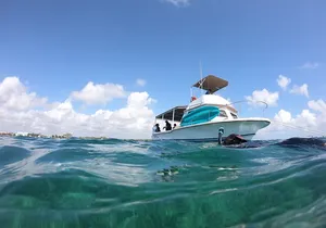 Snorkel in the beautiful reef of Puerto Morelos with transport