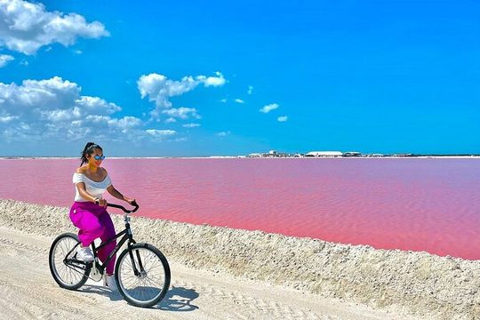 Guided tour at Las Coloradas & Rio Lagartos Biosphere in a boat