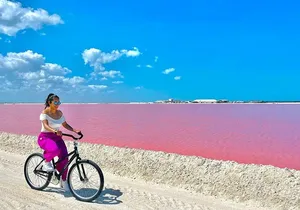 Guided tour at Las Coloradas & Rio Lagartos Biosphere in a boat
