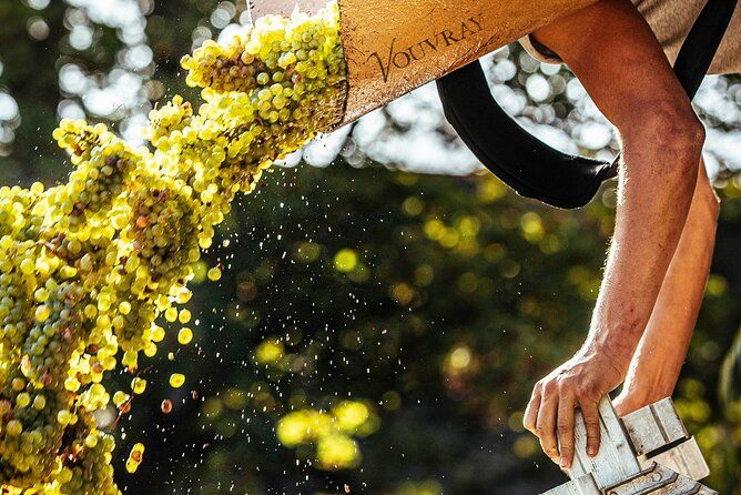 Loire Valley Wine Half Day Tour in Vouvray