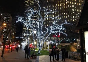 Vancouver Christmas Light Tour private