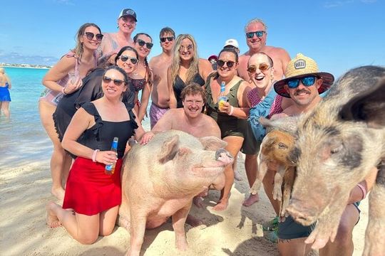 4-Island Tour Swimming Pigs, turtles, snorkeling , rose island,
