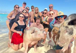 4-Island Tour Swimming Pigs, turtles, snorkeling , rose island,