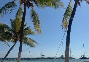 Isla Mujeres Plus Tour with Snorkeling Buffet and Open Bar