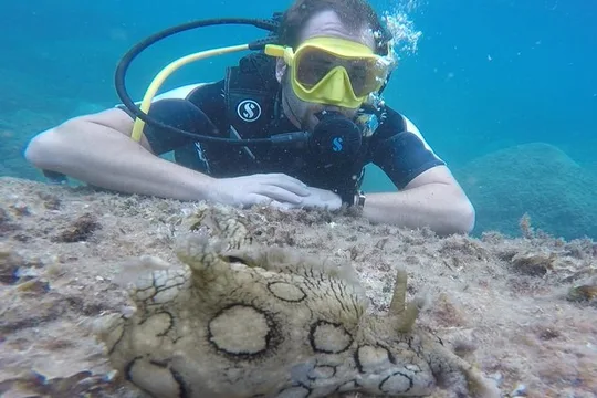Scuba Diving Experience in Taormina