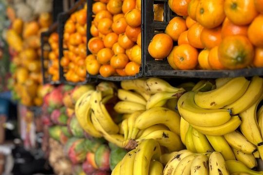 Master Taco Tour of Puerto Vallarta Romantic Zone