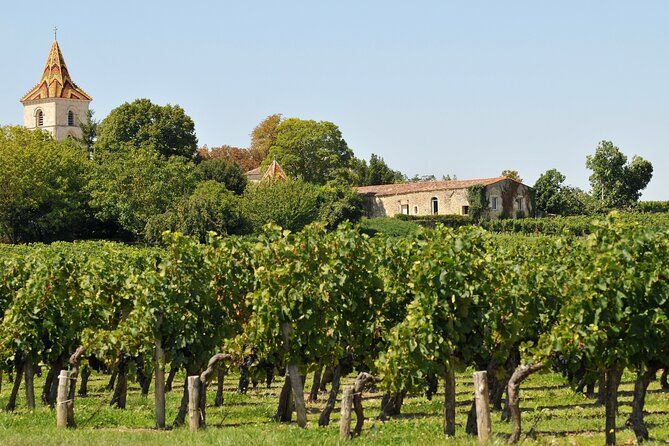 Half-Day Wine tour across Bordeaux’s Vineyards