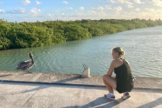 Amazing Tour in Sian Kaan biosphere with Transportation from Cancún!