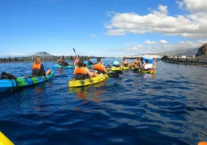 Guided Kayak Tour From Los Cristianos Beach Tenerife