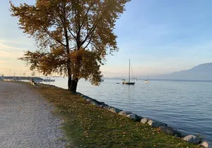 Vancouver Waterfront Guided Bike / Ebike Tour