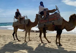Camel Adventure & Tequila tasting on the Pacific Ocean