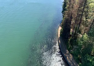 Half-day Hike and Bike Tour in Vancouver