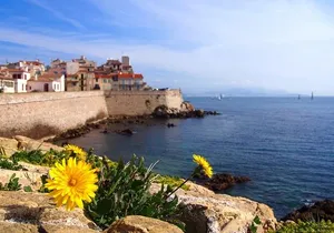 Private 4-hour Tour of Cannes and Antibes from Cannes with private driver