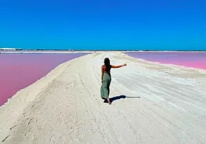 Safari in Rio Lagartos, Coloradas and Mayan Bath