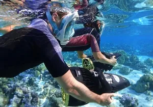 Bahamas Sea Scooter Snorkeling Adventure