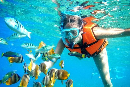 Half-Day Puerto Morelos Snorkeling Experience with Lunch