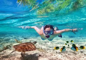 Guided Visit to Puerto Morelos with Snorkeling Included