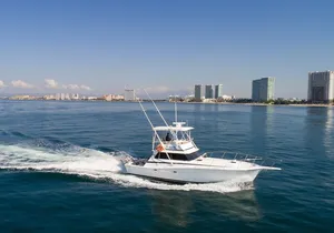 Hatteras 42-44' Classic Yachts in Puerto & Nuevo Vallarta