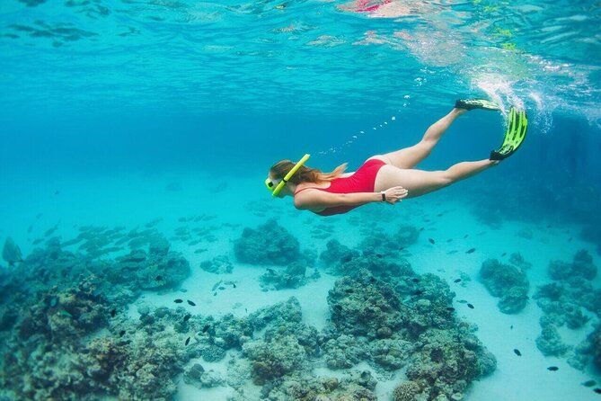 Underwater Museum Snorkeling Tour with Transportation from Cancún