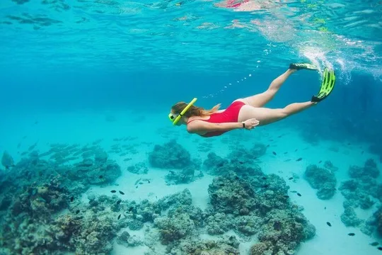 Underwater Museum Snorkeling Tour with Transportation from Cancún